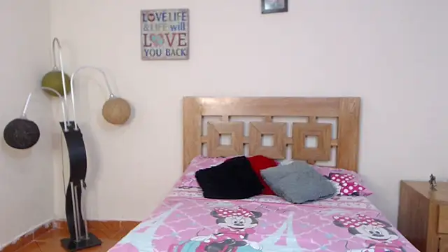 ValeSantoDomingo webcam