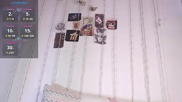pamela_ webcam
