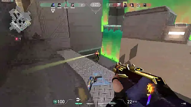 DarkWolf0196 webcam