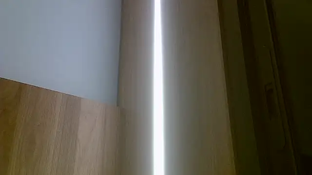 SkinnyKitten webcam