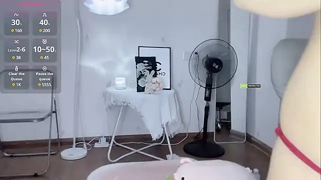 momo-5952 webcam