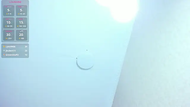 Genesisrayden webcam