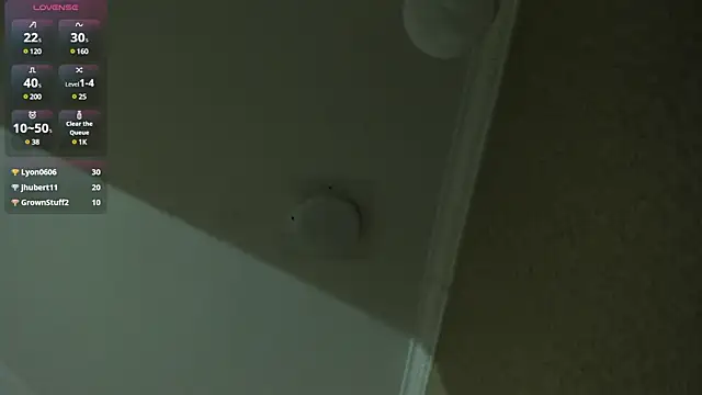 Genesisrayden webcam