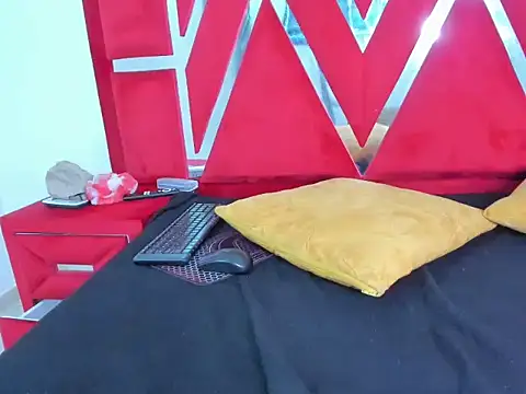 vennusyauroraasm webcam