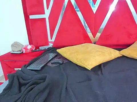 vennusyauroraasm webcam