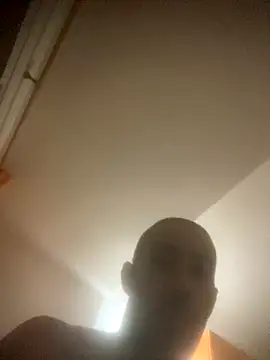 maialino2 webcam