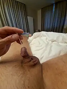 woolide webcam