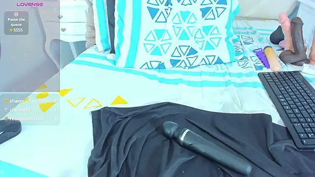 Liincostelloo webcam
