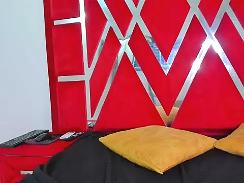 vennusyauroraasm webcam