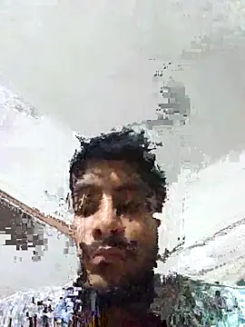 lm12334