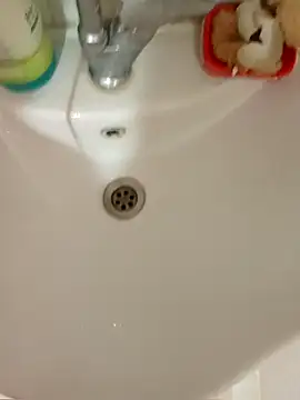 parabellumm