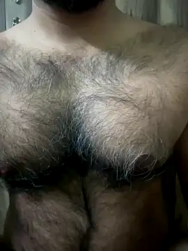 SatBull007