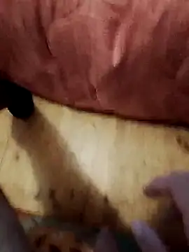 jon763