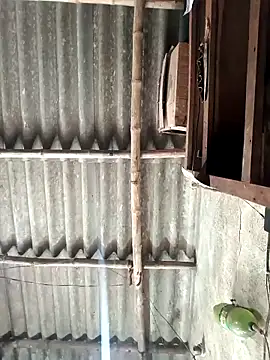 Sanjay7699
