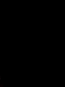 Jeck_leo