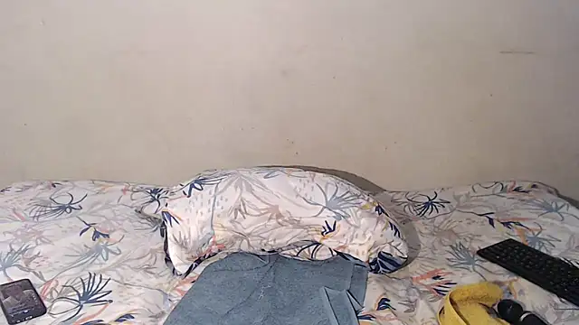 Anitalolly