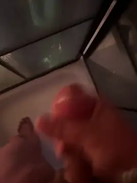 Fatswissassload