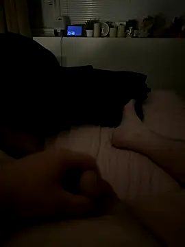 Rafal555578