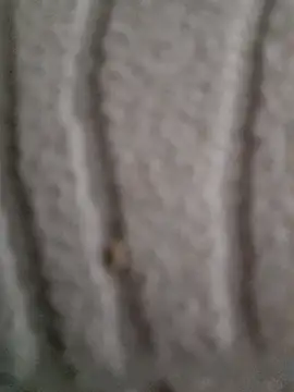 ratoncito_3