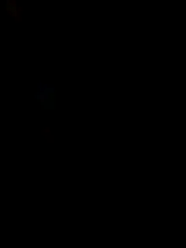 Jeck_leo