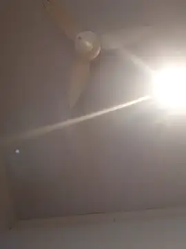 fininho69
