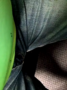 Policeman20742