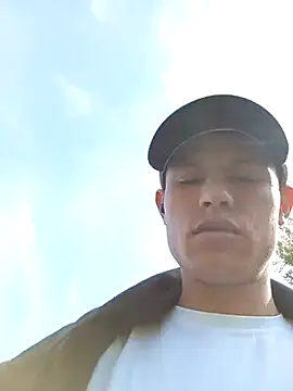 pajarics