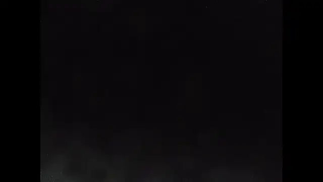 081547