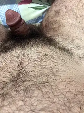 bulpof