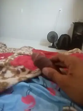 16cmvinni