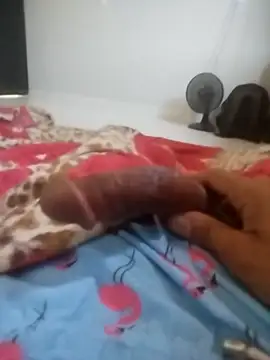 16cmvinni