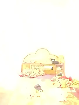 Lily_Baby_