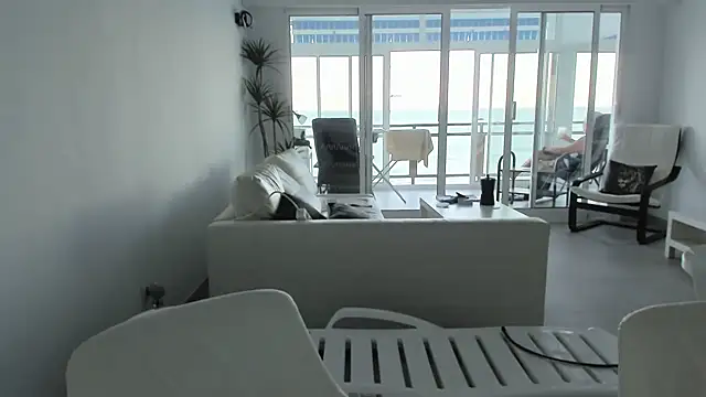 silverstallion