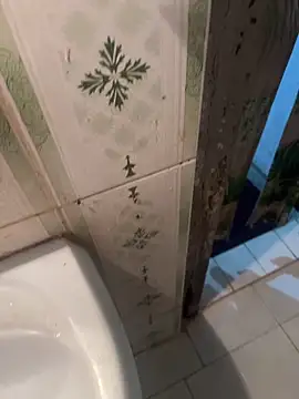 dilu98