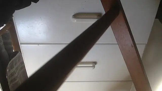 idiotpig66