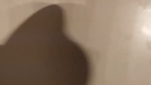 flyfennis