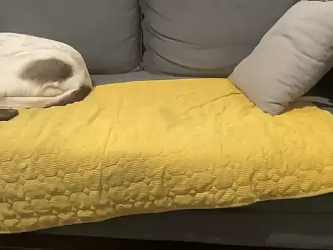 4small4inchlol
