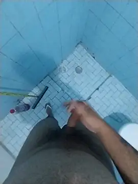 Novinhoamacoroas1002