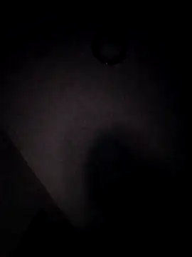 3patica