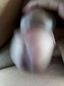 Dog546i