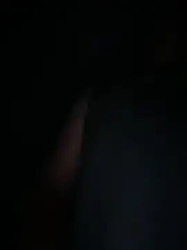 mrwilly7743