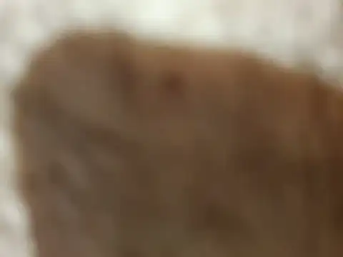 bomvemcam
