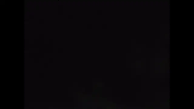 081547