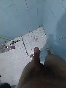Novinhoamacoroas1002