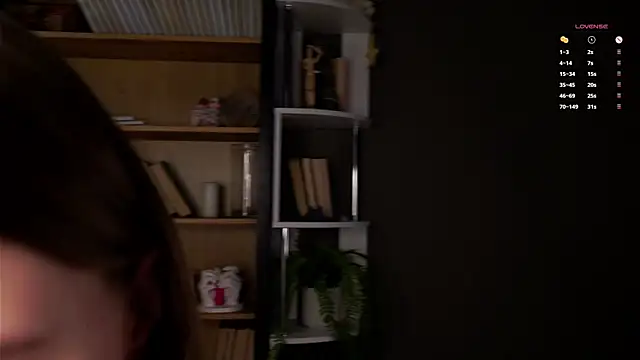 DarylBarks