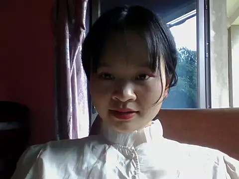 Linyi811