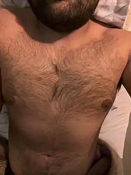 gsv2869