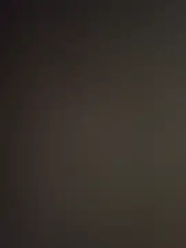 dilu98