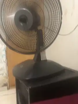 rainha___porno