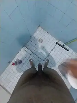 Novinhoamacoroas1002
